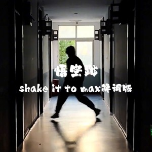 悟空跳（shake it to max） (降调版)
