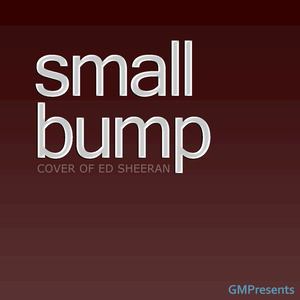 Small Bump (Inst.)