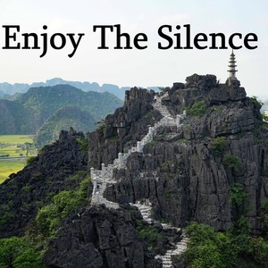 Enjoy The Silence