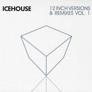 12 Inch Versions And Remixes Vol. 1