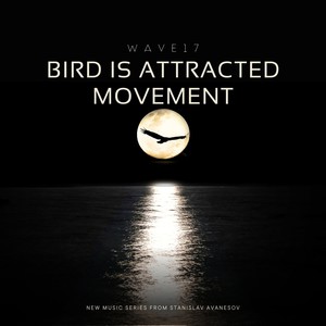 Bird is Attracted Movement (Intro Album)