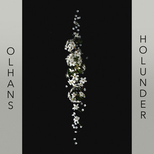 Holunder