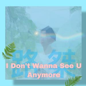 I Don't Wanna See U Anymore