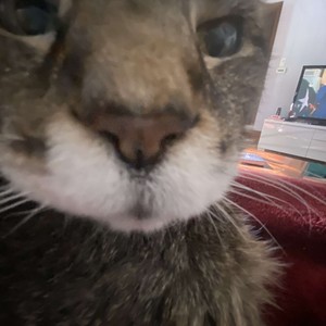 New *****! (Explicit)