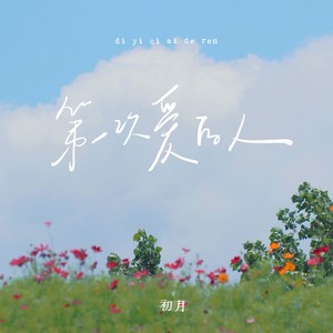 第一次爱的人 (DJ沈乐版)