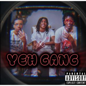 Yeh Gang (feat. SL1M & Jaytron) [Explicit]