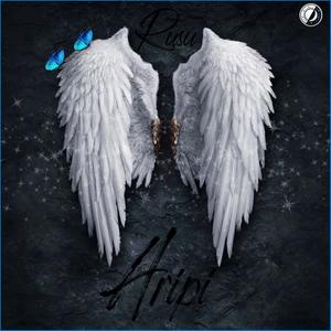 Aripi