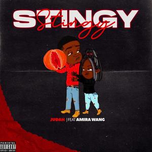 Stingy (feat. Amira Wang)