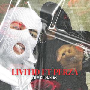 ALMAS GEMELAS (feat. Perza) (Explicit)