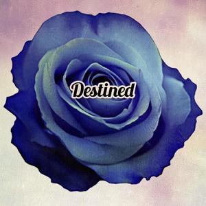 Destined (Explicit)