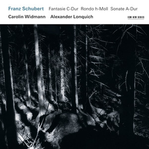 Franz Schubert: Fantasie C-Dur / Rondo h-Moll / Sonate A-Dur (シューベルト：ゲンソウキョク、ロンド)