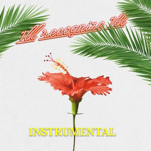 1ll Recognize 1ll (Inst.)