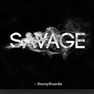 Savage (Slowed Version)