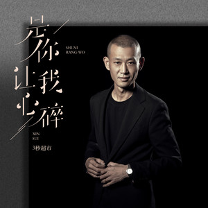 是你让我心碎封面