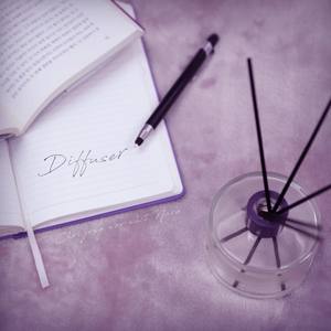 Diffuser(with Nara)