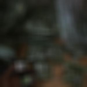 **** life (feat. T.boozer) (Explicit)