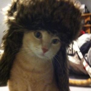 ushanka