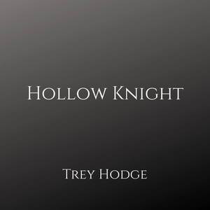 Hollow Knight