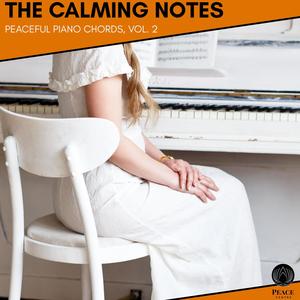 The Calming Notes - Peaceful Piano Chords, Vol. 2