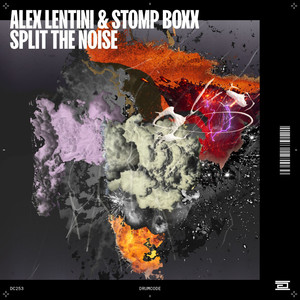 Split the Noise