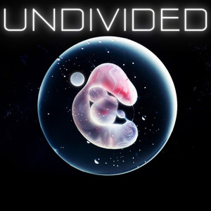 Undivided