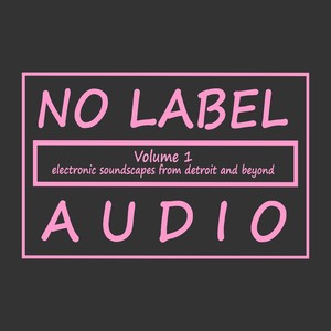 No Label Audio, Vol. I: Electronic Soundscapes From Detroit and Beyond