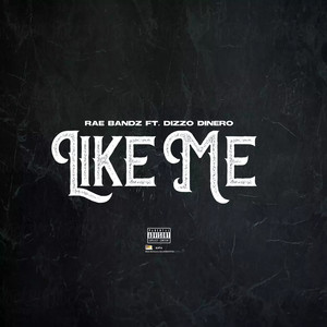 Like Me (Explicit)