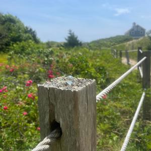 We Not Finished (Explicit)