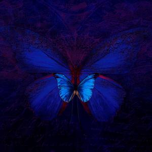 Cause & Effect (feat. Noho)