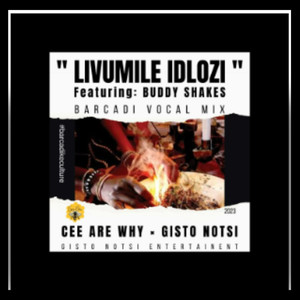 Livumile Idlozi (Barcadi Mix)