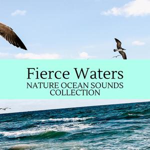 Fierce Waters - Nature Ocean Sounds Collection