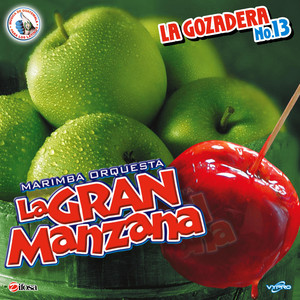 Mix de Boleros: Norma la de Guadalajara / Hasta Que Te Conocí / Cerezo Rosa