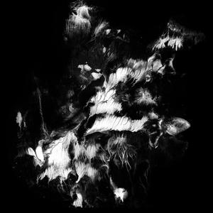 weeknd (feat. 4oreverxo) (Explicit)