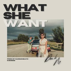 What She Want (feat. Chilli Hendrix & Darius Beatz) [Explicit]