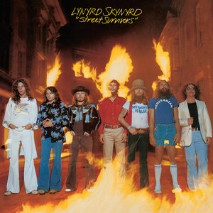 Lynyrd Skynyrd - One More Time