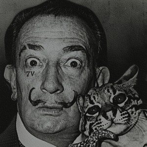 Salvador Dalí 2