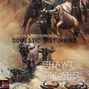 Shawt Collars (feat. Bwilda) (Explicit)