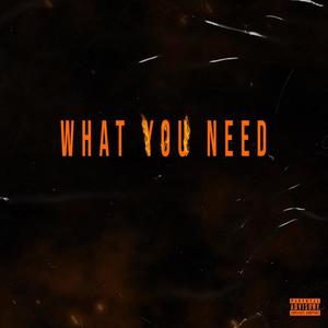 What You Need (Explicit)