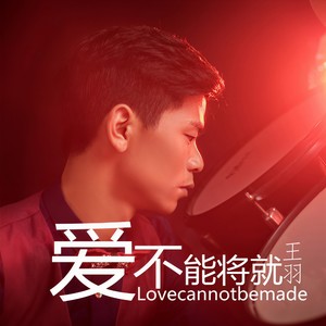 王羽 - 爱不能将就