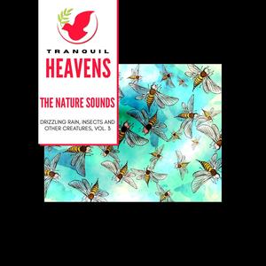 The Nature Sounds - Drizzling Rain, Insects and other Creatures, Vol. 3