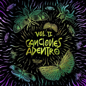 Canciones Adentro, Vol. 2