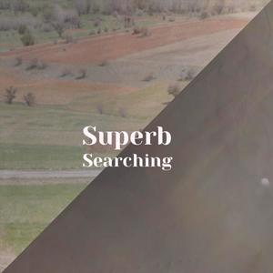 Superb Searching