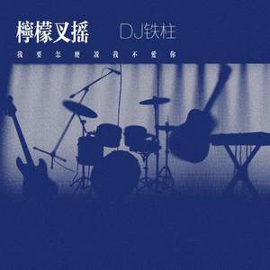 DJ铁柱 - 柠檬叉摇 (我要怎么说我不爱你)