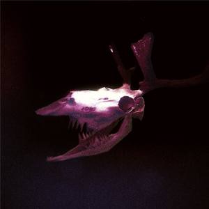 Know 'Bout Em (Explicit)