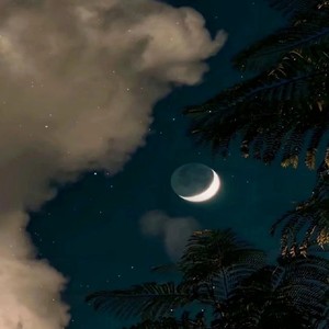 幻昼 (remix: Silu Wang|Remix)