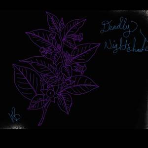 Deadly Nightshade