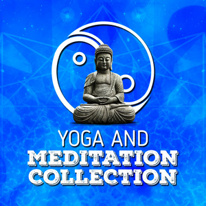 Yoga and Meditation Collection