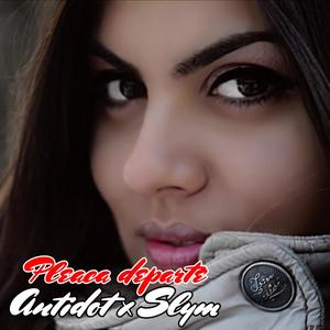 Pleaca Departe (feat. Slym)