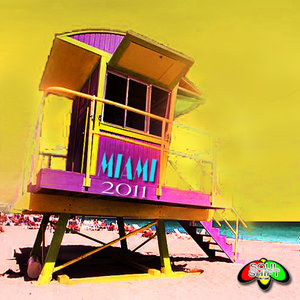Soul Shift Music: Wmc Miami 2011 Collection (Yellow Series)