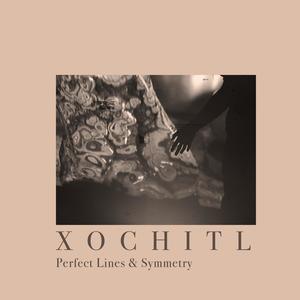 Perfect Lines & Symmetry (feat. Lavander Lee)